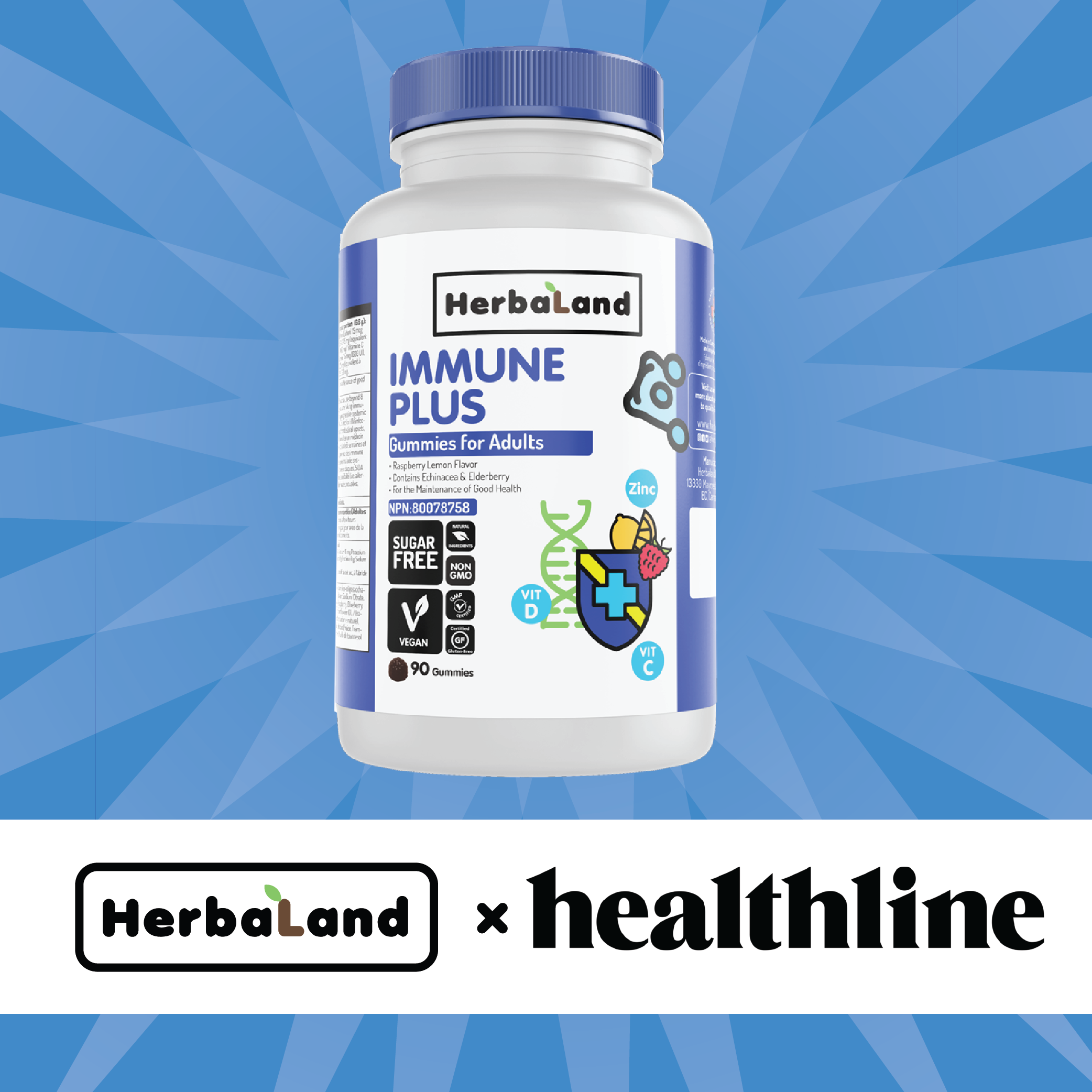 Herbaland Canada Healthline Feature Top Elderberry Gummy 2021