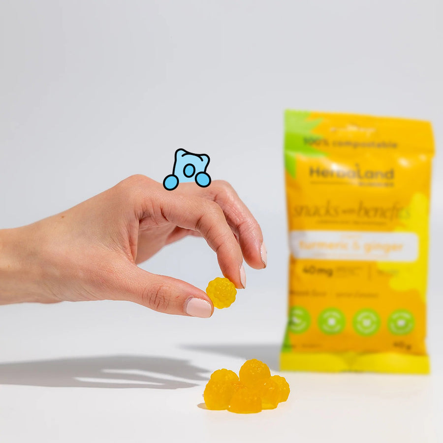 Person holding herbaland gummies with a pouch of turmeric and ginger gummies with pineapple flavor