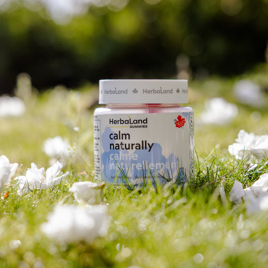 A bottle of Herbaland "Calm Naturally" gummies sits on fresh green grass, surrounded by scattered white flower petals. The background is softly blurred with dappled sunlight, creating a peaceful, natural atmosphere.