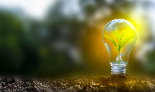 Ten Ways to Live More Sustainably