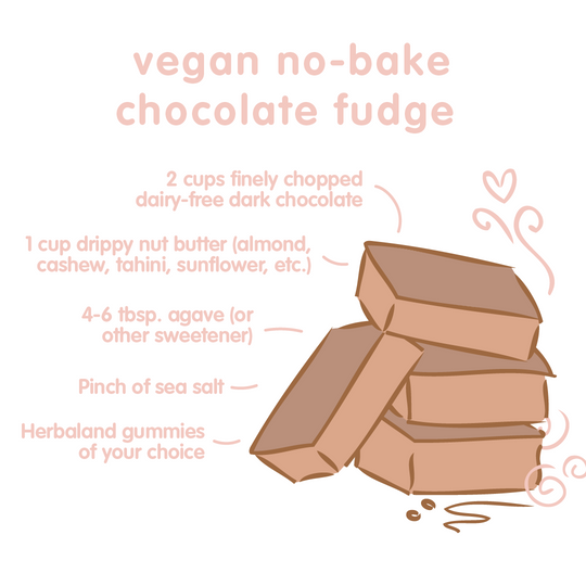 recipe, chocolate fudge, vegan, nutritional meal, no bake