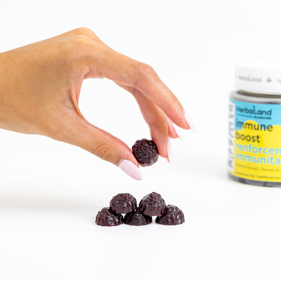 A person holding herbaland vitamin gummies with immune boost bottle for adults in blackberry lemonade flavor in the back