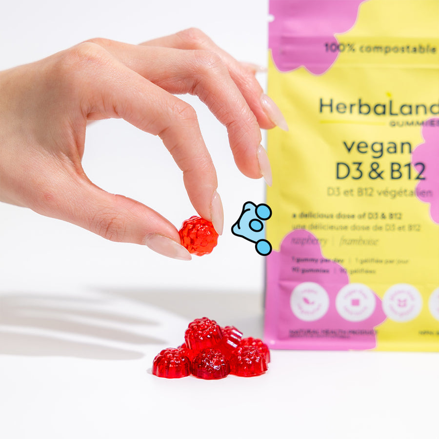 person holding herbaland gummies with a pouch of vegan D3 & B12 for adults with raspberry flavor