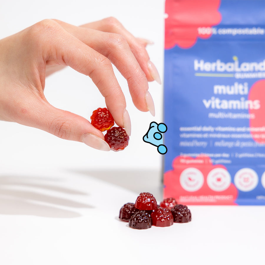 Person holding herbaland gummies with multi vitamins pouch to help to get essential daily dose of vitamins and minerals with mixed berry flavor