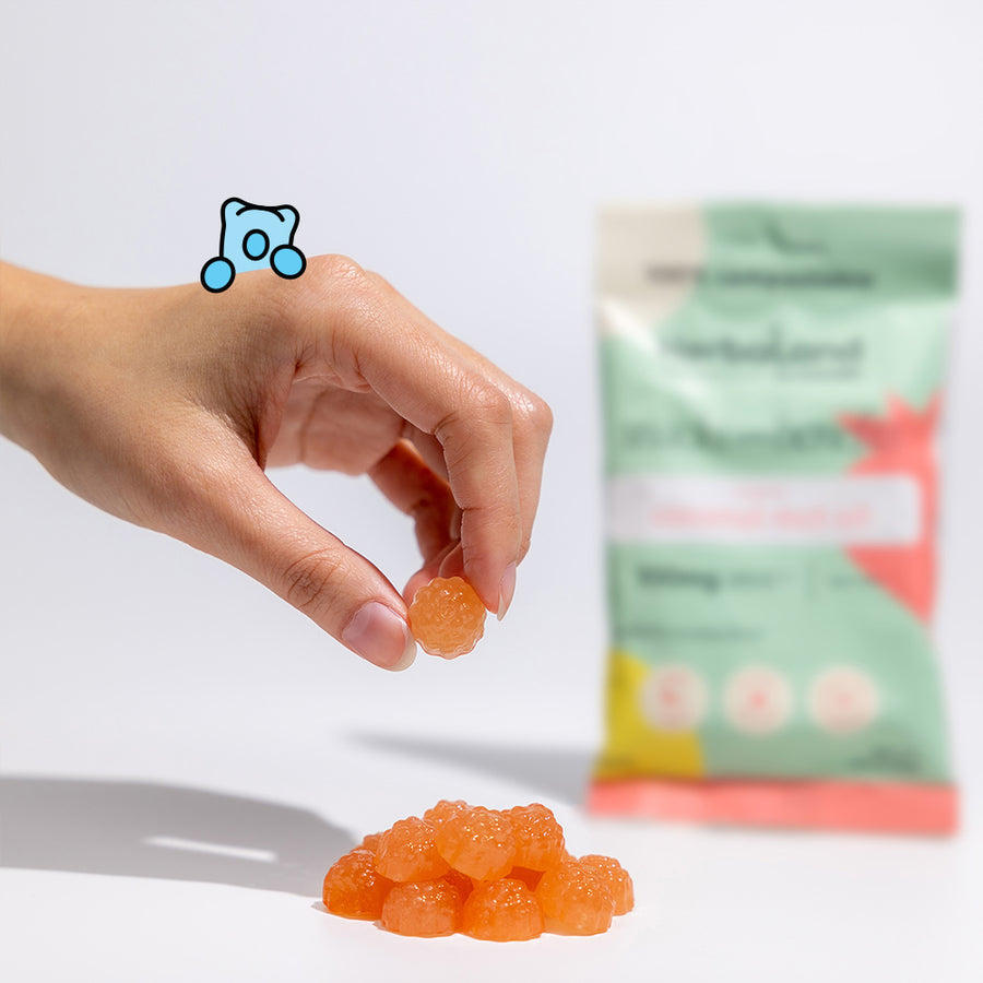 Person holding herbaland snacks with benefits coconut mct oil gummies with strawberry coconut flavor