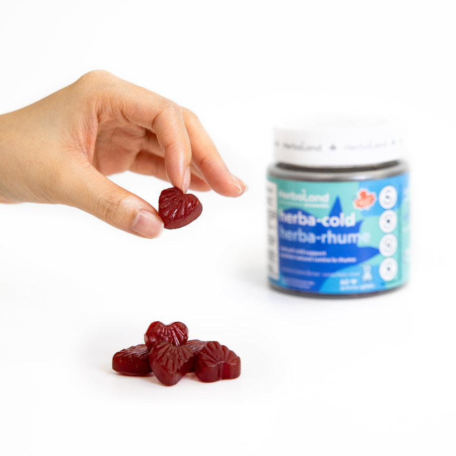 Herbaland herbacold supplement bottle on a white background