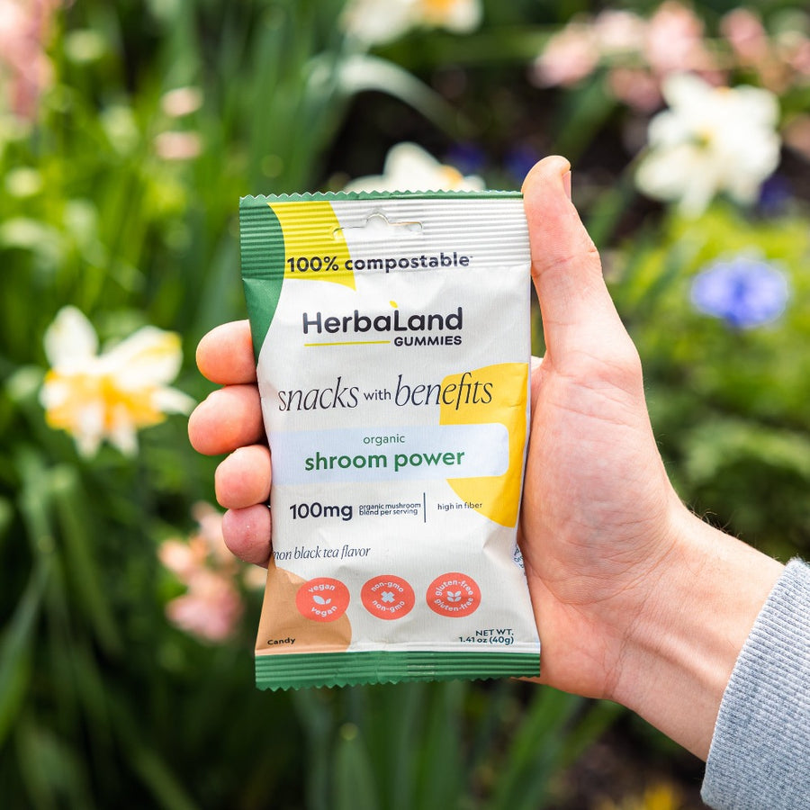 Herbaland Gummies - Herbaland snacks with benefits organic shroom power with lemon black tea flavor 