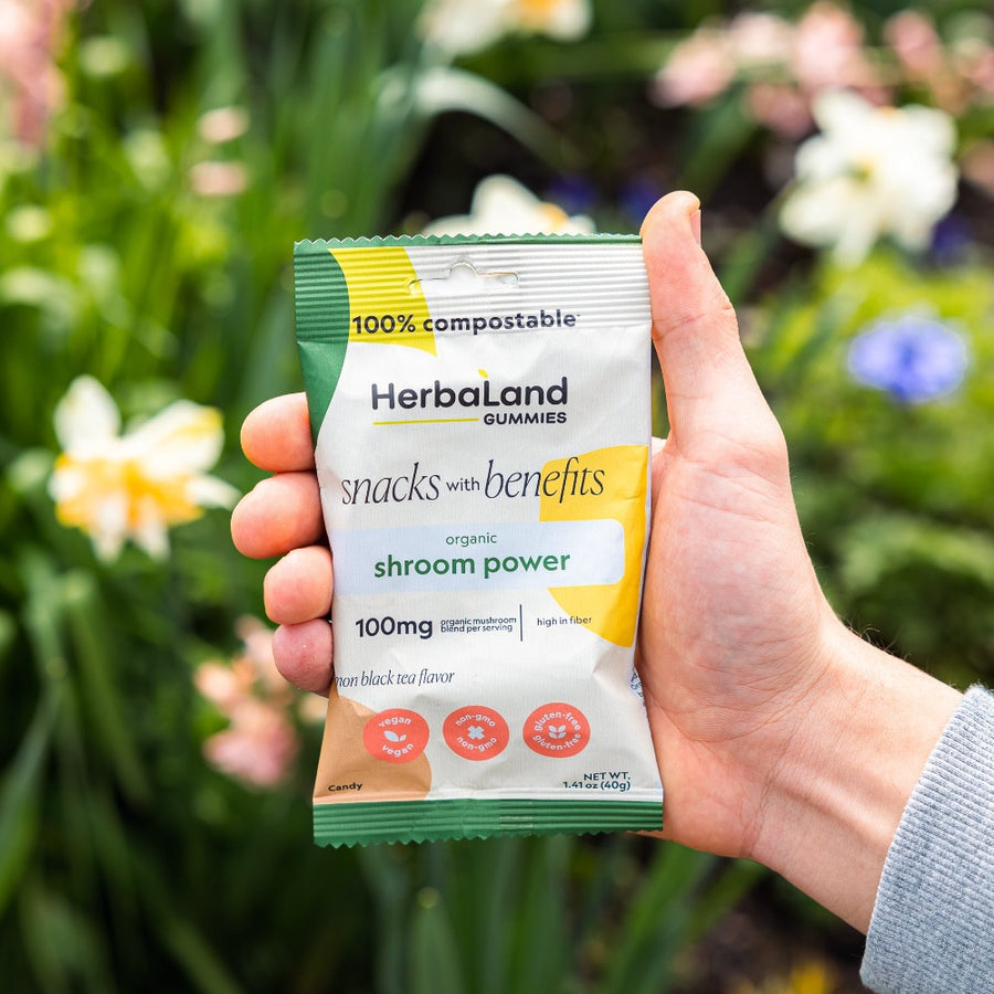 Herbaland snacks with benefits organic shroom power with lemon black tea flavor 
