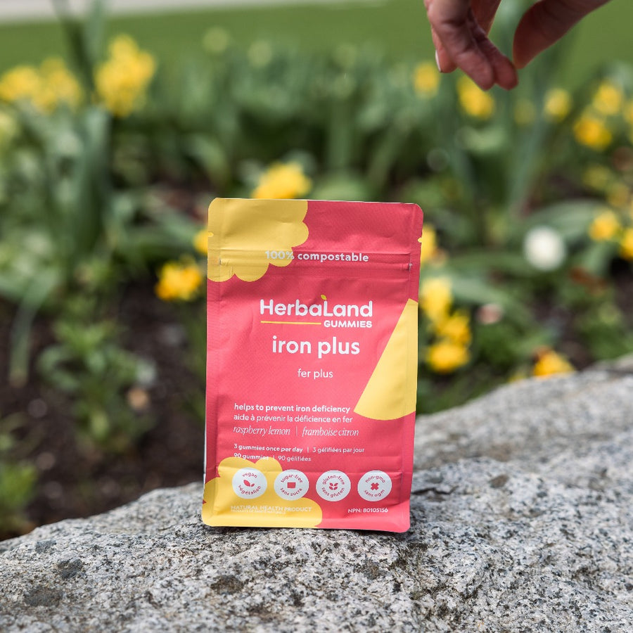 Herbaland Iron Plus gummies to prevent iron deficiency with raspberry lemon flavor for adults