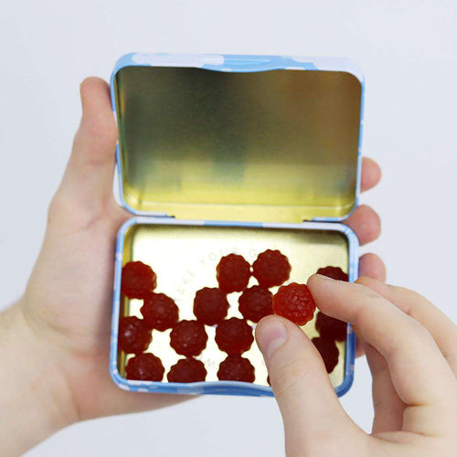 Travel Tin