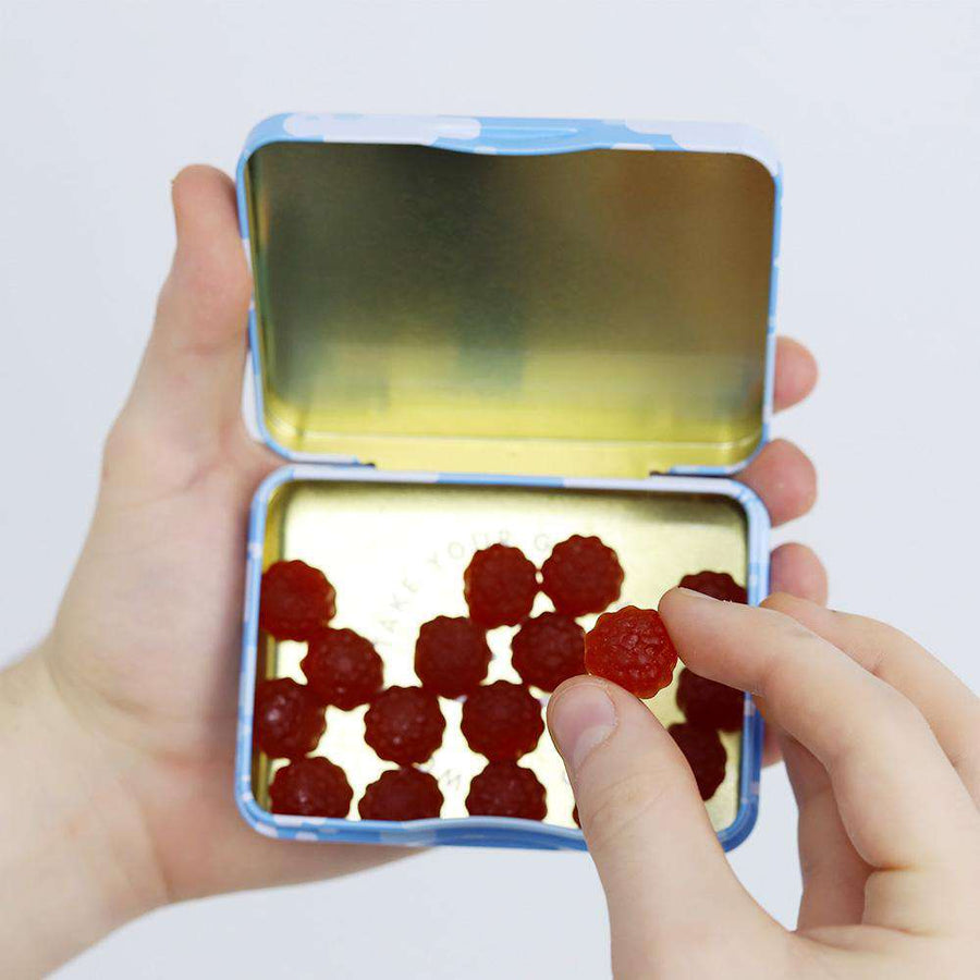 Travel Tin - Herbaland 