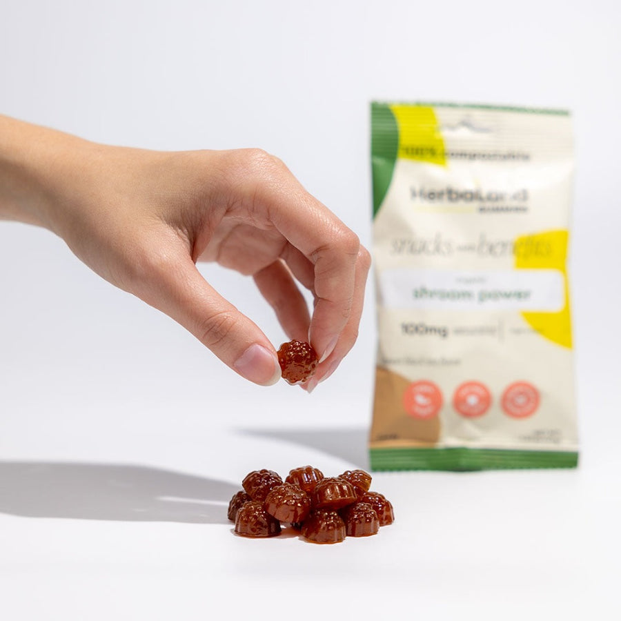 Herbaland Gummies - A picture of herbaland shroom power gummies with a pouch of shroom power snack with benefits with lemon black tea flavor 